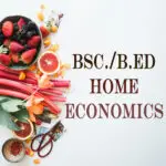 Exploring BSc./B. Ed HOME ECONOMICS: A Comprehensive Guide to Food and Nutrition